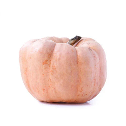 Porcelain Doll Pumpkin Seeds - 25+ Pack for Garden Planting - Cucurbita pepo - Pale Pink Vining Pumpkins