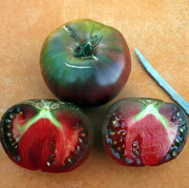 Black From Tula Tomato Seeds - Heirloom Organic Non-GMO, Rare Dark Tomato Seeds for Salads & Cooking, Solanum lycopersicum