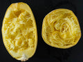 Spaghetti Squash Seeds Heirloom Cucurbita pepo Winter Vegetable Vining Plant, 10-50 Pack