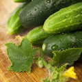Non-GMO Long Green Cucumber Seeds for Home Garden – Cucumis sativus, Crisp & Tender, Pack of 20