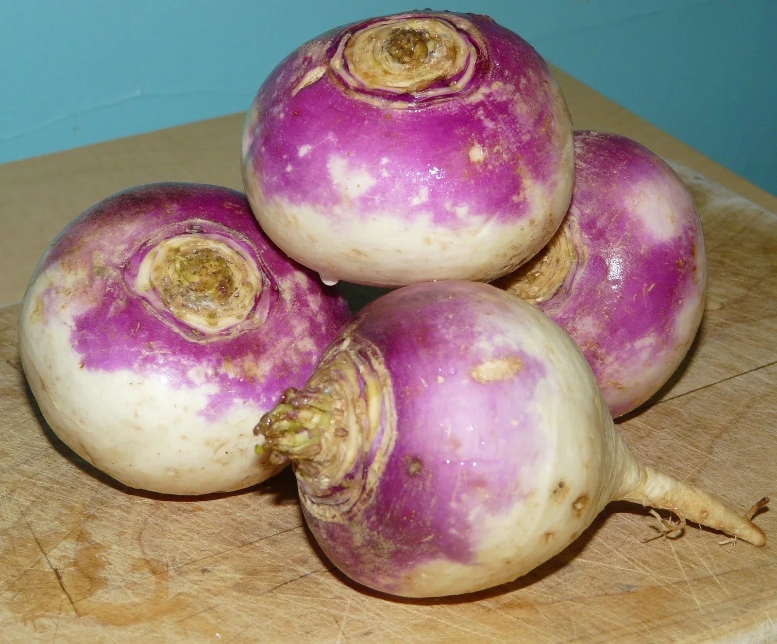 Rutabaga Seeds Bulk 500 Count for Gardening, Brassica napus, Root Vegetable for Soups & Stews