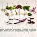Fresh Green Plant Cuttings for Propagation – Indoor Gardening, Vining & Bushy Varieties, Eco-Friendly, Ready to Root