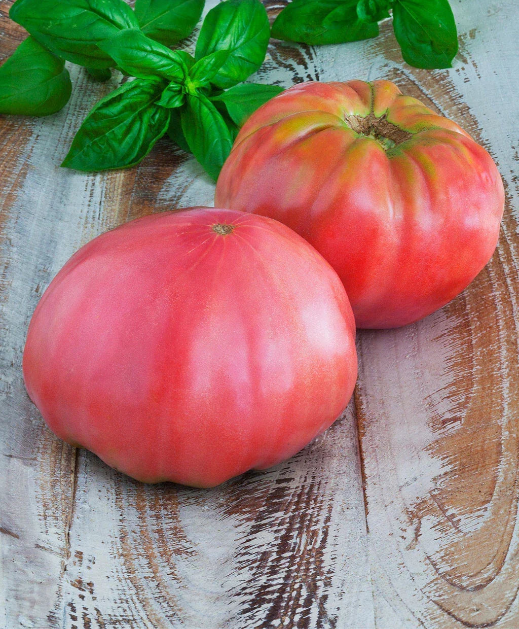 Brandywine Pink Tomato Seeds - Heirloom Large Slicing Fruit - Potato Leaved Solanum lycopersicum Seed Packet