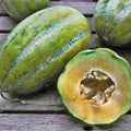 Bidwell Casaba Melon Seeds – Heirloom Cucumis melo, Sweet Large Fruit, 20-100 Seeds for Garden Planting