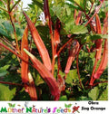 Okra Seeds - 50 Count JING ORANGE Asian Variety with Red/Orange Pods, Non-GMO Abelmoschus esculentus Seed Pack