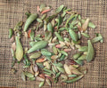 Succulent Leaves for Propagation 1/2 LB Assortment of 25+ Varieties Including Rare Types for Gardening & Plant Lovers
