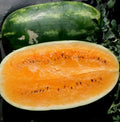 Tendersweet Orange Watermelon Seeds - Non-GMO Heirloom Organic Citrullus lanatus, Sweet, Full Sun, Seed Packet