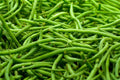 Strike Green Bean Seeds - Organic Phaseolus vulgaris Bush Beans for Home Garden, Fresh Green Beans, Non-GMO, Easy to Grow