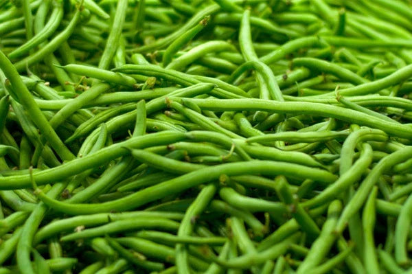 Strike Green Bean Seeds - Organic Phaseolus vulgaris Bush Beans for Home Garden, Fresh Green Beans, Non-GMO, Easy to Grow