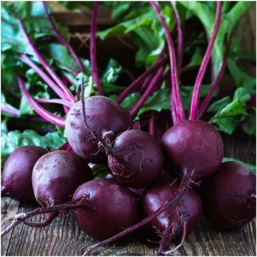 Beet Seeds 100 Ct Early Wonder Tall Top Beta vulgaris Non-GMO Vegetable Garden Seeds