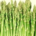 Asparagus Seeds - Mary Washington Heirloom NON-GMO Vegetable Garden Seeds - Asparagus officinalis