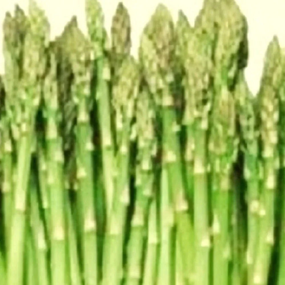 Asparagus Seeds - Mary Washington Heirloom NON-GMO Vegetable Garden Seeds - Asparagus officinalis