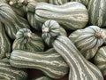 Green Striped Cushaw Pumpkin Seeds - Heirloom Cucurbita mixta, Gourd Vegetable, 10+ Pack