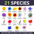 Bulk Wildflower Seeds - 1/4 Pound Pack - Annual Quick Blooming Mix for Gardens & Landscapes - Over 30,000 Seeds