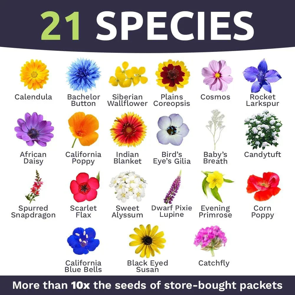 Bulk Wildflower Seeds - 1/4 Pound Pack - Annual Quick Blooming Mix for Gardens & Landscapes - Over 30,000 Seeds