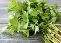Organic Cilantro Seeds 200 Count | Heirloom Non-GMO Coriandrum sativum for Culinary & Garden