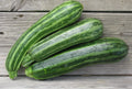 Italian Cocozelle Zucchini Seeds - 20 Summer Squash Seeds Cucurbita pepo, Bush-Type, Striped Green, Non-GMO