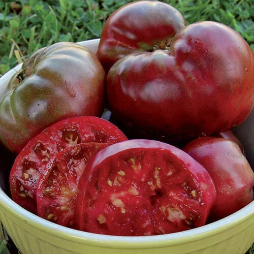 Black Krim Tomato Seeds - Heirloom Non-GMO Solanum lycopersicum, Dark Red to Purple Fruit, Indeterminate, Seed Packet