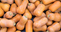 Butternut Squash Seeds Set of 25 | Heirloom Cucurbita moschata Vegetable Seeds for Garden Planting