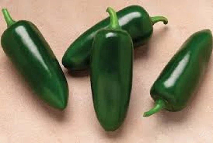 Organic Heirloom Jalapeno Seeds - Capsicum annuum, Spicy 2000-8000 Scoville, Premium Fresh Seed Pack