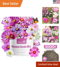 Cosmos Seeds Wildflower Mix 1 Oz - Dazzling Colors, Easy to Grow, 4 Varieties for Gardens, Borders, and Pollinator Attracting
