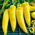 Hungarian Yellow Wax Hot Pepper Seeds – Capsicum annuum, Prolific, Early Maturing, Compact Plant, 20 Seeds