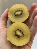 Golden Kiwi Fruit Seeds - Organic Non-GMO, Yellow Variety, Actinidia deliciosa, 50 Pack