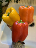 50 Bell Pepper Seeds - Red, Orange, Yellow Varieties - Capsicum annuum Vegetable Seeds for Home Garden, Organic, Non-GMO