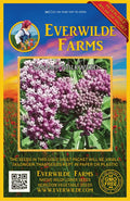 Swamp Milkweed Wildflower Seeds 1 Oz Mylar Packet - Asclepias incarnata - Everwilde Farms