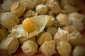 Ground Cherry Seeds 210 Physalis pruinosa Sweet Fruit for Home Garden, Container, Edible, Lantern-Shaped Husks