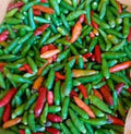 Bird's Eye Chili Pepper Seeds - Non-GMO Siling Labuyo Seeds for Spicy Cooking, Compact Bushy Plant, Capsicum annuum, 30+ Seeds