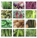 Asian Vegetable Seeds Packets - Non-GMO Variety Pack for Home Garden, Edible Plants, Includes Bok Choy, Daikon Radish, and More