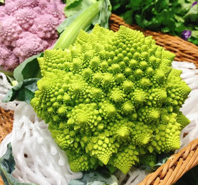 Romanesco Broccoli Seeds - Organic Heirloom Non-GMO - 1000+ Seeds for Home Gardening - Brassica oleracea var. italica