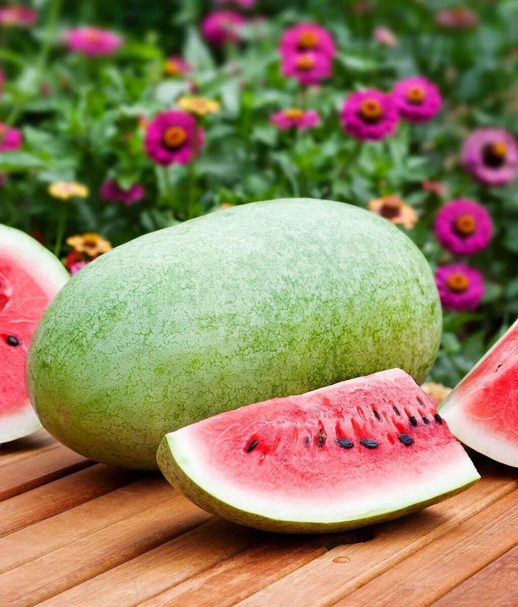 Charleston Gray Watermelon Seeds – Heirloom Non-GMO Citrullus lanatus, 25 Pack, Sweet Juicy Fruit, Free Shipping USA