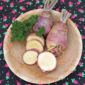 Marian Rutabaga Seeds - 500+ Non-GMO Brassica napus Vegetable Seeds for Garden Planting, Heirloom Quality, USA Grown