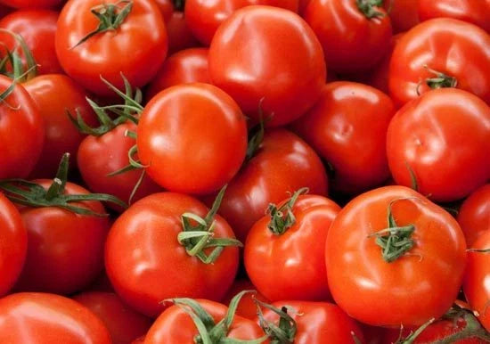 Early Girl Hybrid Tomato Seeds - Bush Type, 15 Seeds, Solanum lycopersicum, Compact, Fast-Maturing, High Yield, Container Gardening