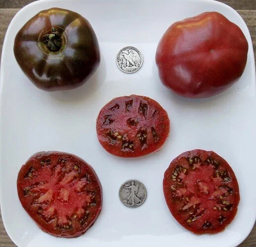 Paul Robeson Tomato Seeds - 25 Fresh Heirloom Seeds - Purple Variety - Solanum lycopersicum for Home Gardening