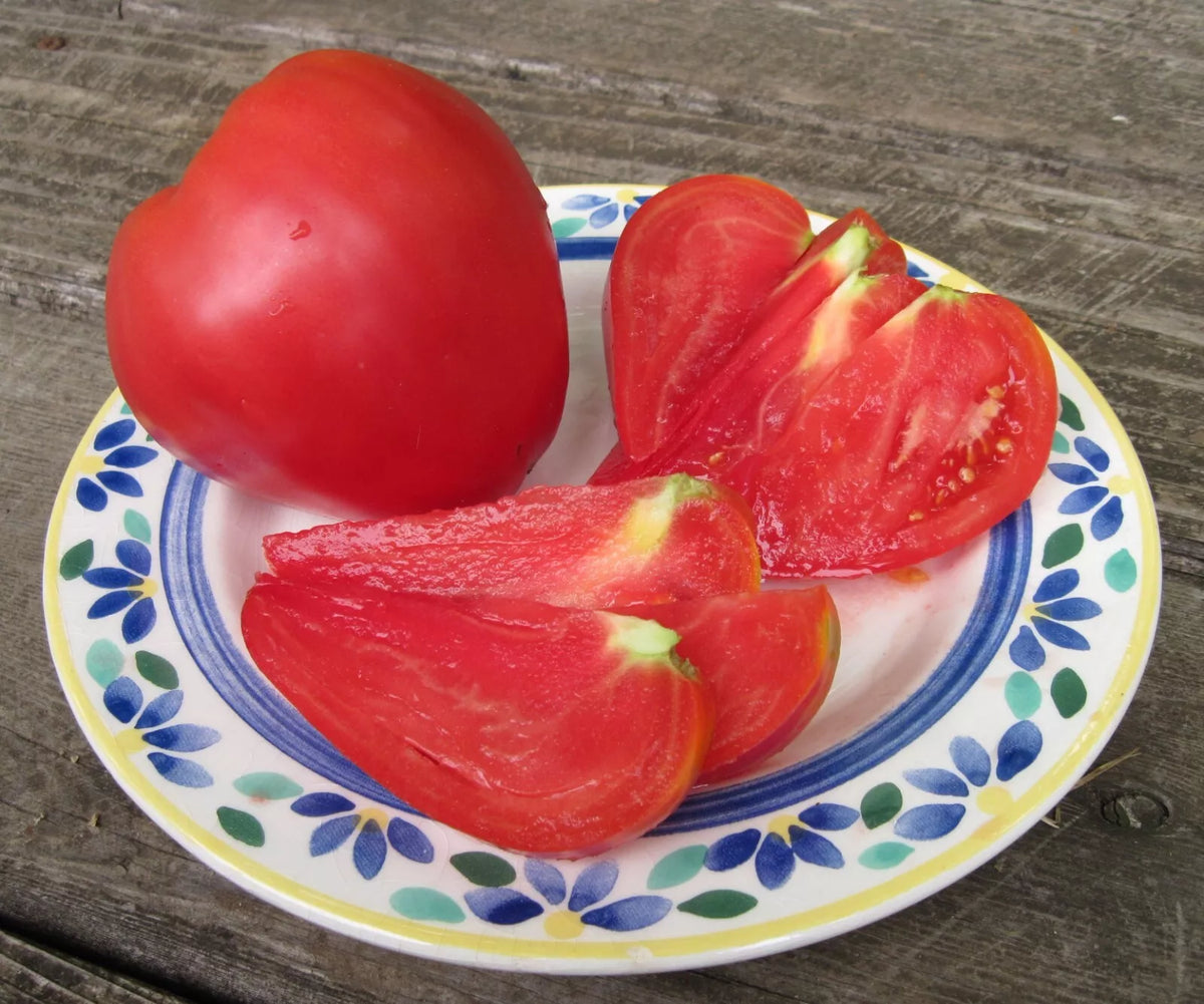 Anna Russian Tomato Seeds - Heirloom Organic Non-GMO Pack of 30+ for Home Gardening, Juicy Pinkish-Red Solanum lycopersicum