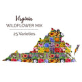 Wildflower Seed Mix - Virginia Native Perennials & Annuals - 25 Non-GMO Species - 1000 Seeds for Pollinator Gardens