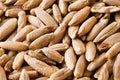 Rye Berries 4 Pounds - Whole Grain Secale cereale with High Fiber & Iron - Bulk Grain for Baking & Cooking