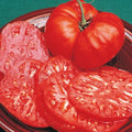 Brandywine Tomato Seeds - Heirloom Vegetable Garden Seeds - Solanum lycopersicum - 25 Pack for Home Garden, Juicy Large Tomatoes