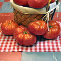Tomato Seeds 1000 Count Heirloom Chef's Choice Red Solanum lycopersicum, Heavy Producer, Vining Plant