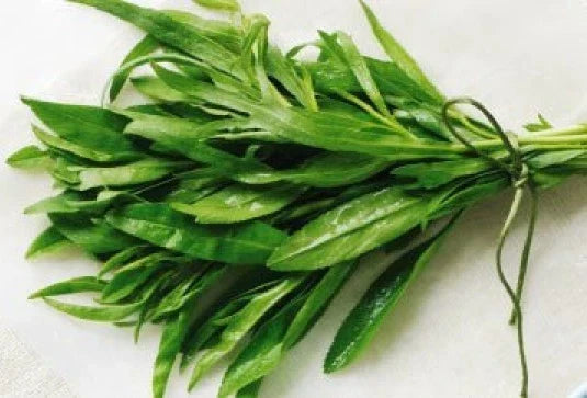 Fresh Tarragon Seeds Pack - Artemisia dracunculus Heirloom Culinary Herb - 200+ Seeds for Indoor & Outdoor Gardening
