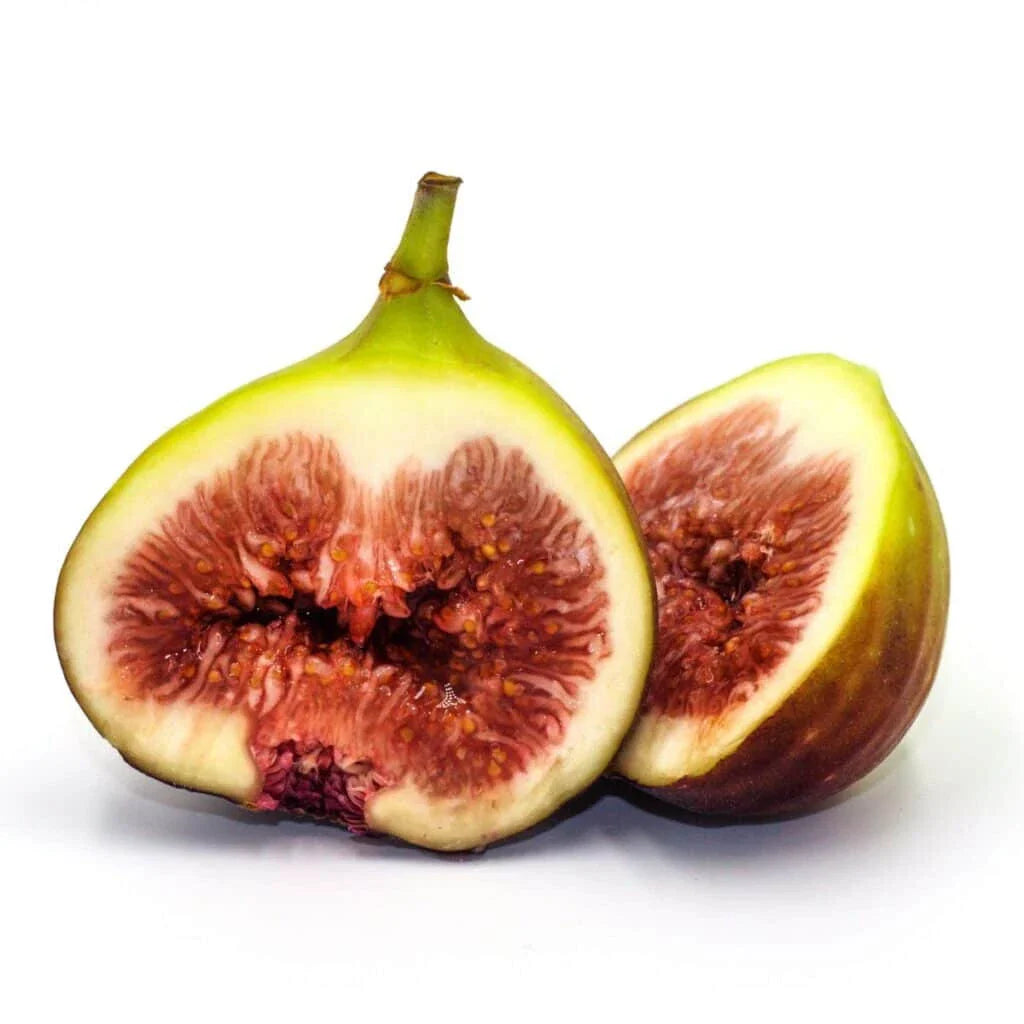 Brown Turkey Fig Seeds - Organic Ficus carica for Garden Planting - 100+ Non-GMO Seeds for Home & Container Growing