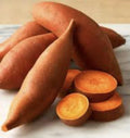 Beauregard Sweet Potato Slips – 10 Organic Ipomoea batatas Live Plant Cuttings for Garden, Raised Beds, and Vegetable Growing