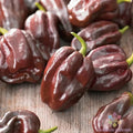 Chocolate Habanero Hot Pepper Seeds - 25+ Pack, Capsicum chinense, Heirloom, Spicy Peppers for Garden Planting