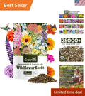 Wildflower Seeds 1 Ounce Hummingbird & Butterfly Mix - 24 Native Varieties
