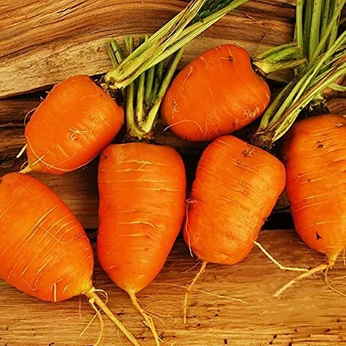 Oxheart Carrot Seeds - Heirloom Non-GMO Organic Daucus carota, Large Heart-Shaped Carrots, Vegetable Seeds for Garden