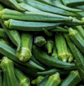 Emerald Okra Seeds - 100+ Non-GMO Abelmoschus esculentus for Organic Gardening, Bountiful Harvest, Easy to Grow