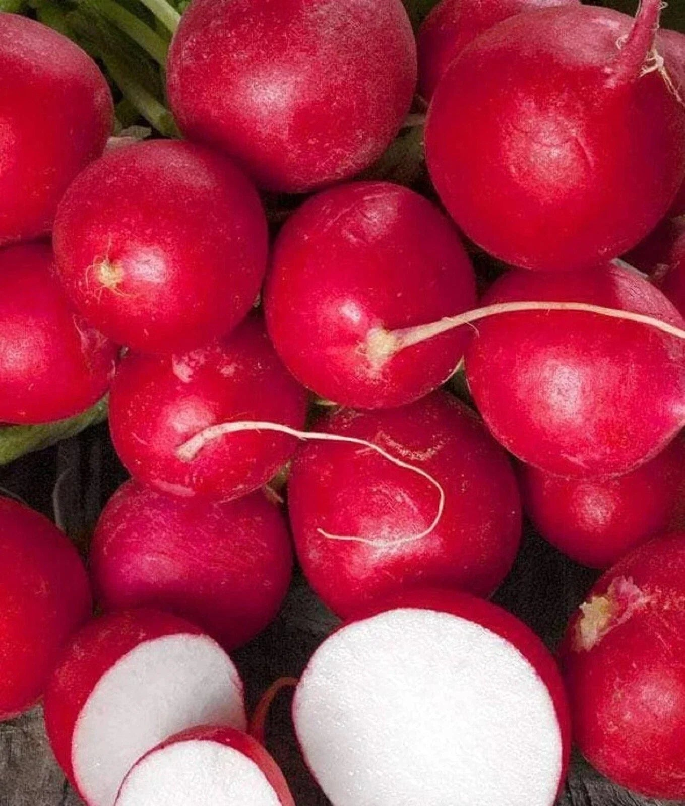 Cherry Belle Radish Seeds - Non-GMO, Fast Germination, Raphanus sativus, 200+ Seeds for Home Garden, Containers & Raised Beds